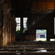 Illustration for article titled Abandoned Shipyard Halls Look Magical After Heavy Rain
